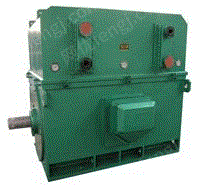 泰富西玛电机YKS系列(H355-1000)高压三相异步电动机