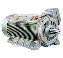 泰富西玛电机Y2系列(H355-560)6KV紧凑型高压异步电动机