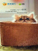 市场现货二手电动机YGF710-4(3400KW6KV)