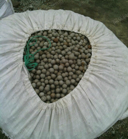 ָ豸