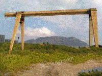 转让宁波三崎桥（门）式起重机行车，起重十吨，跨度18.4米，外栏4米