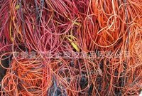 广东东莞东莞地区采购各种废旧电线电缆