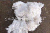 供应气流纺本白、漂白再生废棉