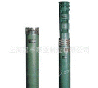 上海宝山区供应250QJ125-64/4取水泵