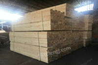 出售回收福建地区新旧建筑模板木方(洛森木业)