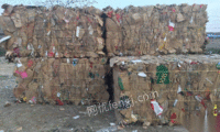 全邢台地区回收打包站废旧纸箱。