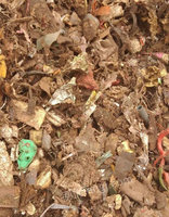 200吨破碎塑料 各种杂料都有 20/吨 出售 大约2——3公分左右 出售 可发样料 货在山东济南 
