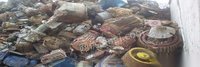 天津河西区高价回收废旧电机废铜废铝废旧电瓶