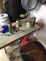 上海浦东新区马达工业缝纫机
