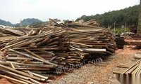 常年高价回收建筑木材、模板、方木、架板、旧树及柴火