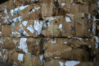广东东莞专业高价回收各大废纸品。