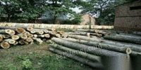 辽宁鞍山高价收购杨木，松木，木心木軸，干的湿的都可以，拆迁下旧料