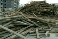 高价回收方木，竹胶板，木托