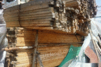 高价回收工程废旧木方模板