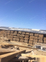 高价回收木方模板工程木头