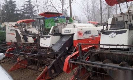 gather-102827-1745168692-g.jpg!300small
