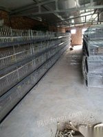 出售养植鸡鸭设备，30套铁笼子和加温锅炉一台，送自动管材等