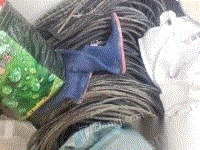 不养虾了,电线和地龙卖掉