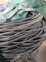 出售480米铜电缆