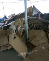 浙江回收废纸箱