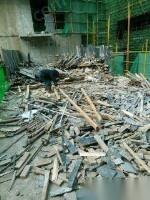 西宁回收各种废旧木材,各种规格方木,模板