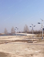 出售哈尔滨95成新太阳能无蓄电池灯60个