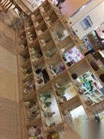二手陶瓷机械转让