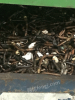 Enormous recycling scrap copper,scrap aluminum