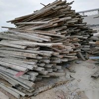 出售大量方木模板