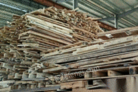 大量回收各类废旧木材，长期收购工地废木头，板子，电梯包装