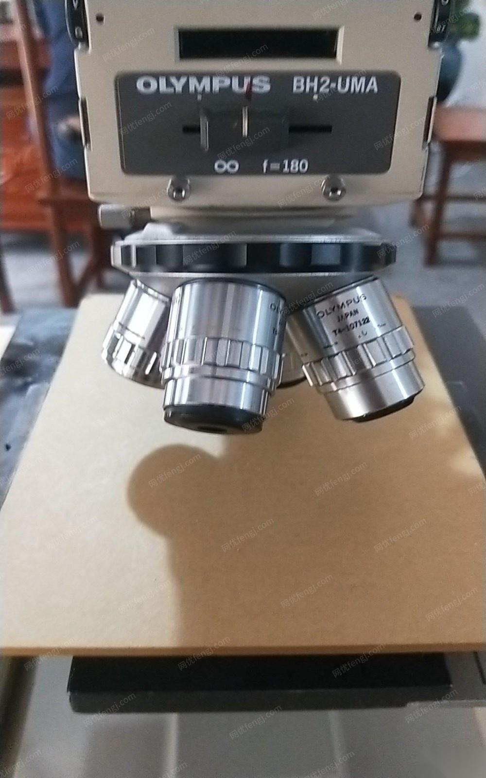 奥林巴斯金相显微镜出售
