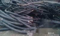 定州常年（上门回收废旧电缆铜）和闲置的废旧电缆。