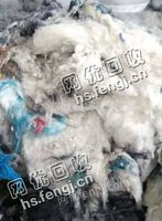 山西太原地区出售含棉量90％开花棉