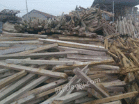 广西南宁求购100吨建筑松木方电议或面议