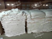 山西太原地区出售奶白色涤棉开花棉
