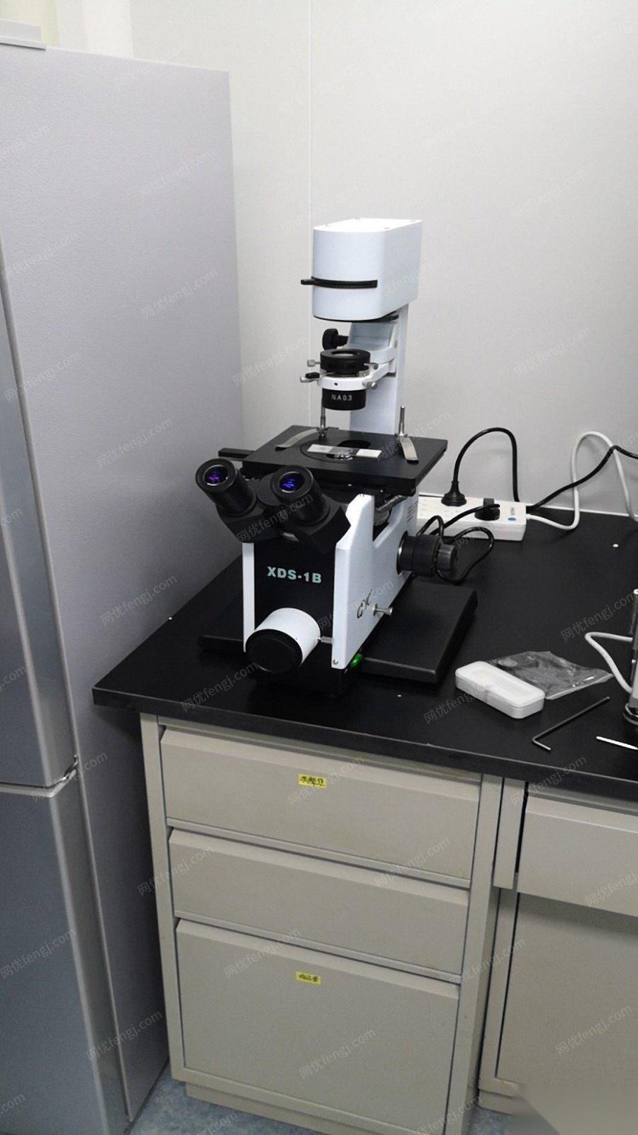 重庆光电显微镜xds-1b 10500元出售