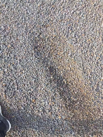 钢渣铁屑出售