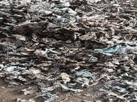 天津静海区地区出售破碎熟铝