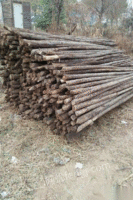 石家庄回收出售新旧杉木杆