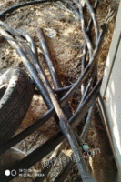 拆迁出售电缆 10至3米，铜铝都有