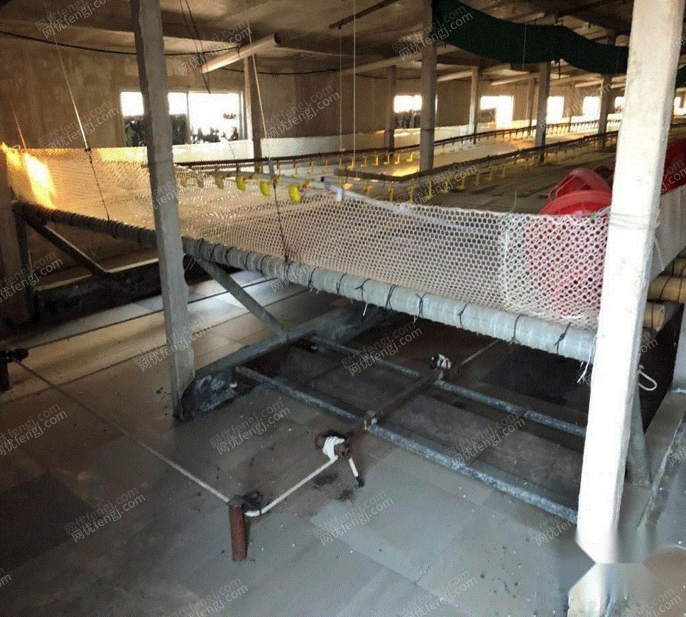 鸡棚养殖设备出售
