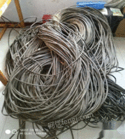 出售1500米长电缆线