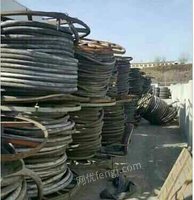 回收废铜 废铝 废铁 废纸 胶瓶 工厂旧设备 等 回收废铜 废铝 废铁 废纸 胶瓶 工厂旧设备 等