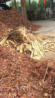 出售再生资源废木材、盘木、长圆木（小）等