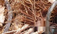 东莞樟木头通讯电缆回收