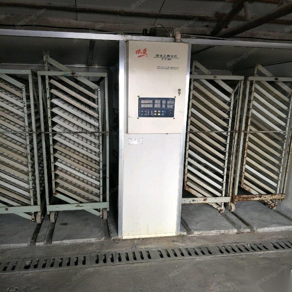 出售依爱孵化器