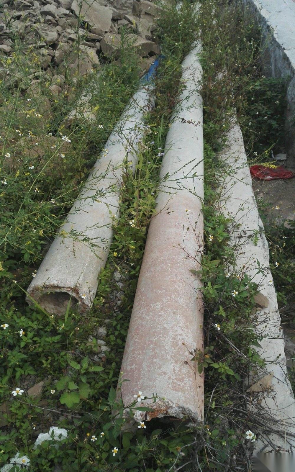 低价转让一批电杆10米、12米水泥杆