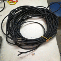 出售带插头纯铜线缆25米国标1平方，可过电2500w，电车统