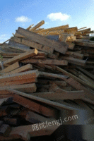 常年收售废木材