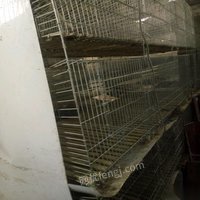 出售二手兔笼.500个笼位，配套设施齐全